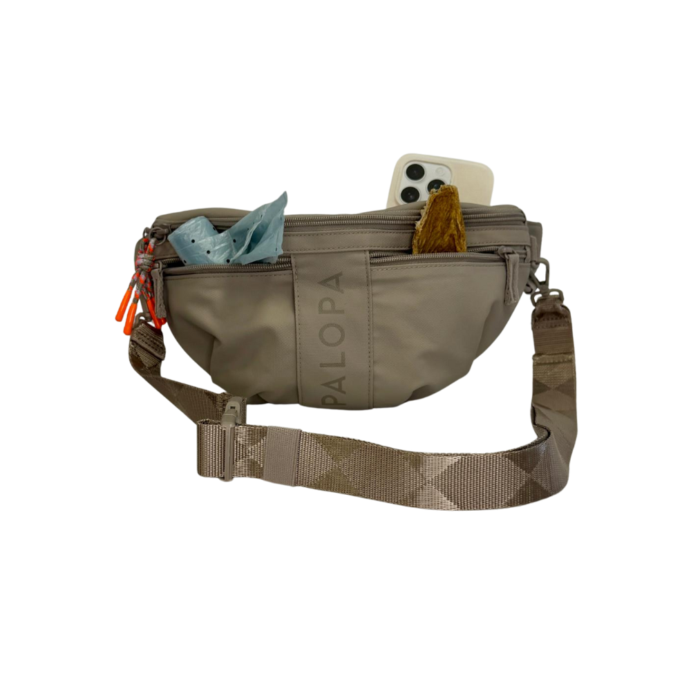 Stijlvolle reisaccessoires voor je hond - klaar voor elk avontuur