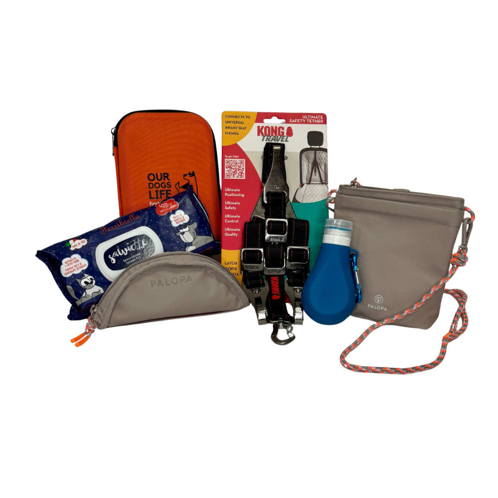 Basis reisset voor je hond: van snachtasje, opvouwbare voerbak en EHBO-kit tot veiligheidsgordel, natte doekjes en pee remover.