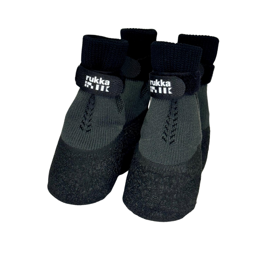 Beschermende sok-schoentjes voor oudere honden