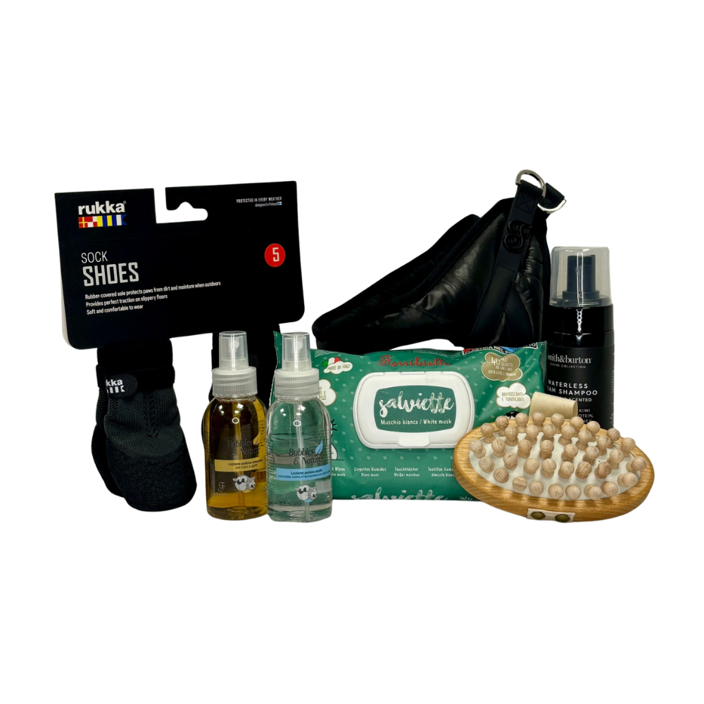 Deluxe Senior Box voor oudere honden: shampoo, oorreiniger, natte doekjes, massageborstel, sock shoes en harnas