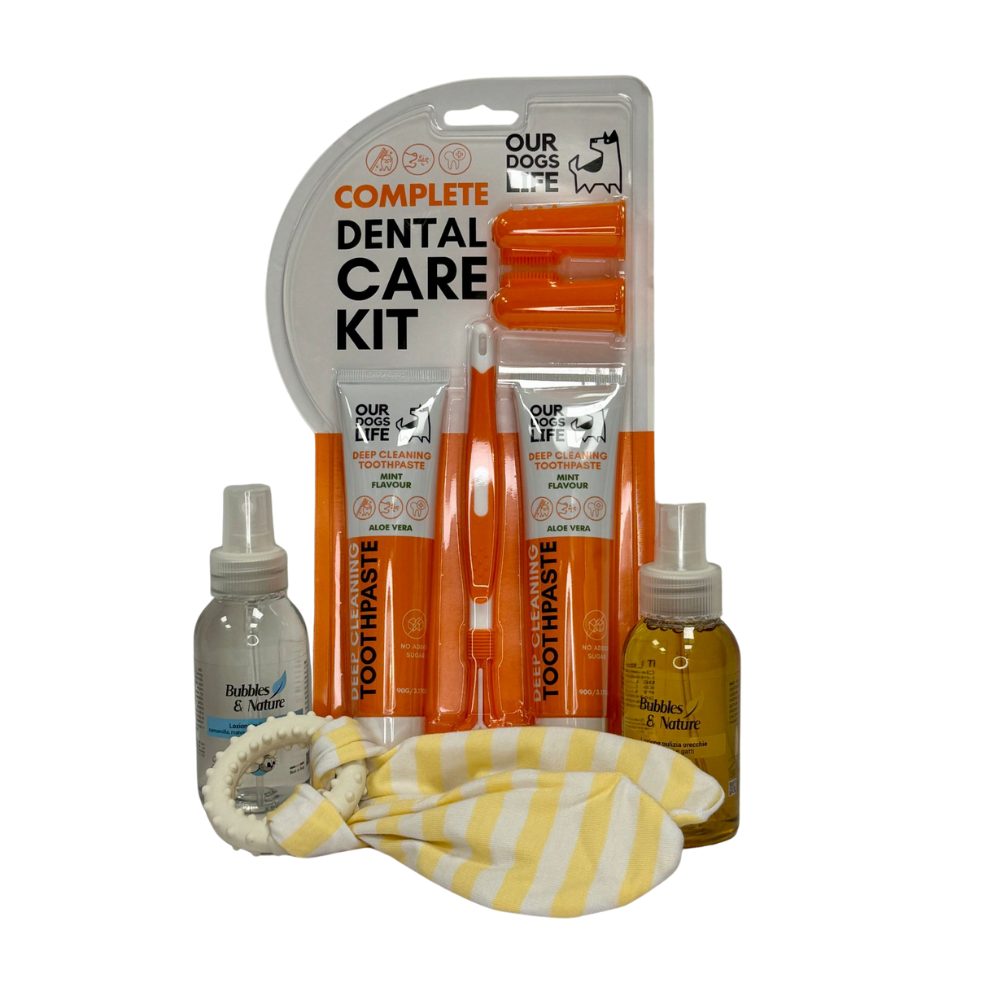 Een zachte start voor je puppy met de Basic Puppy Box: oorreiniger, oogreiniger, tandverzorging, knuffel en bijtring