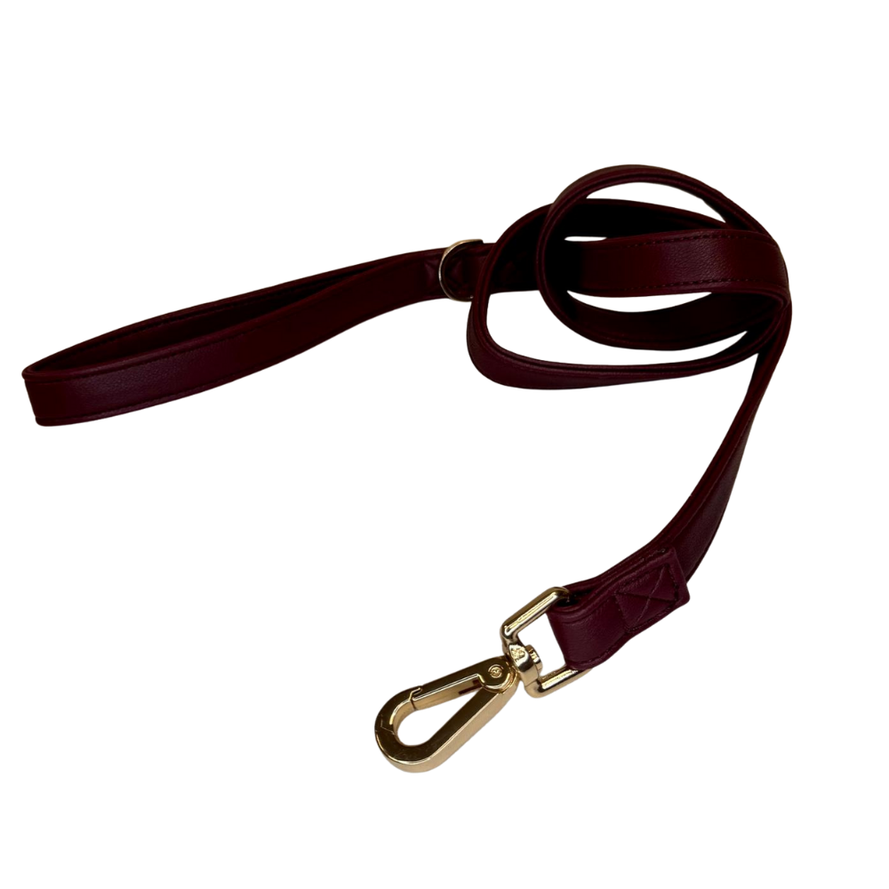 Elegante hondenriem uit Mokka-collectie van Ferribiella