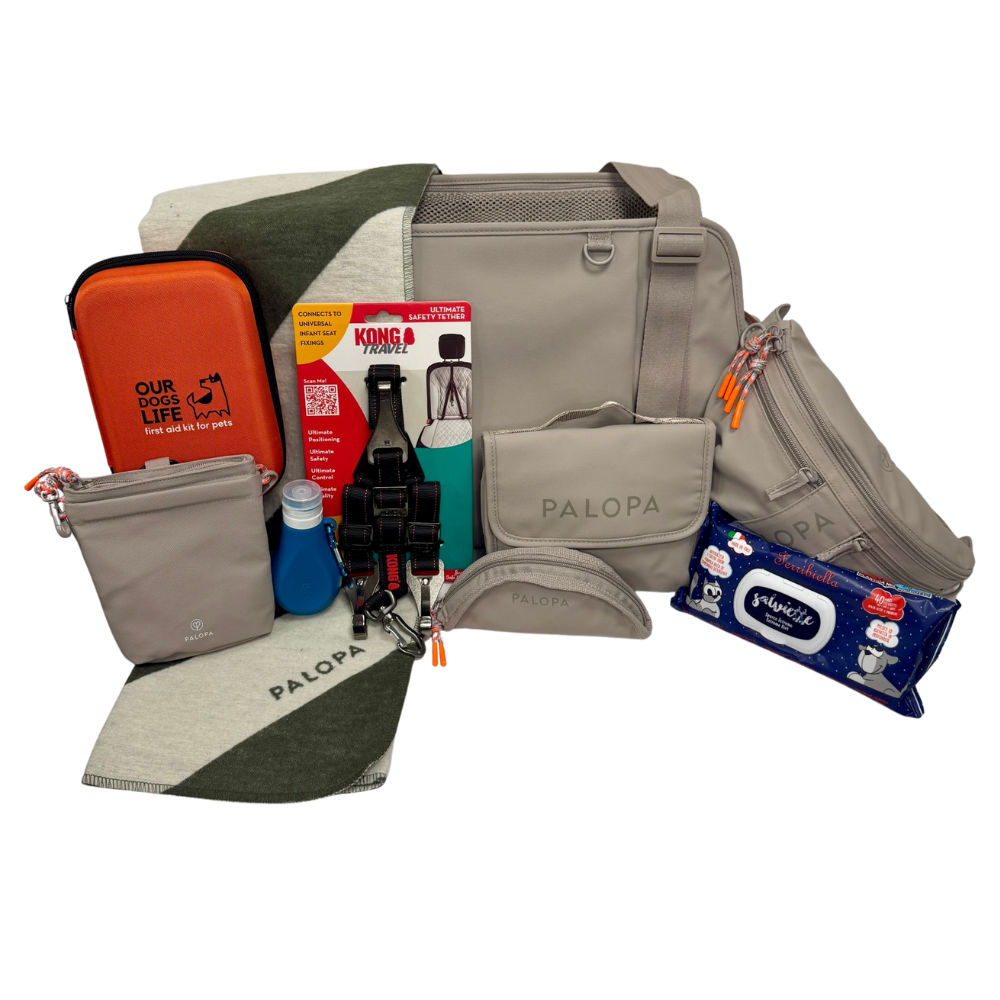 Luxe reisset voor onderweg: van snachtas, opvouwbare voerbak, EHBO-kit tot veiligheidsgordel, natte doekjes, pee remover en draagtas