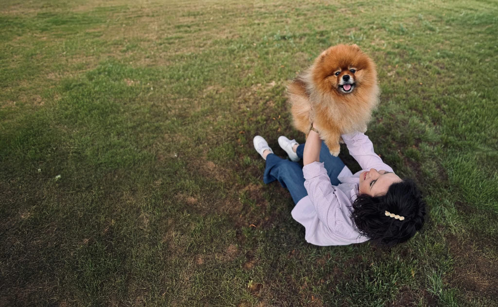 Online hondenshop met premium assortiment en producten