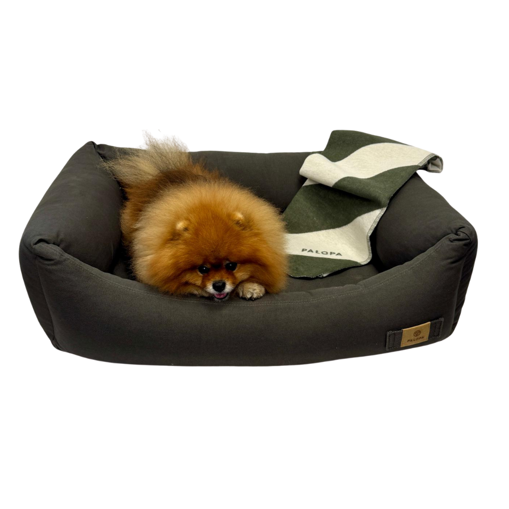 Rustig slapen met ondersteuning voor senior honden