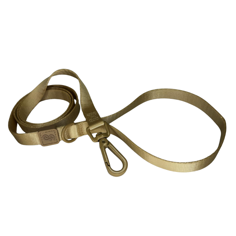 Suprema leiband voor jonge pups - Ottie's Dog Essentials