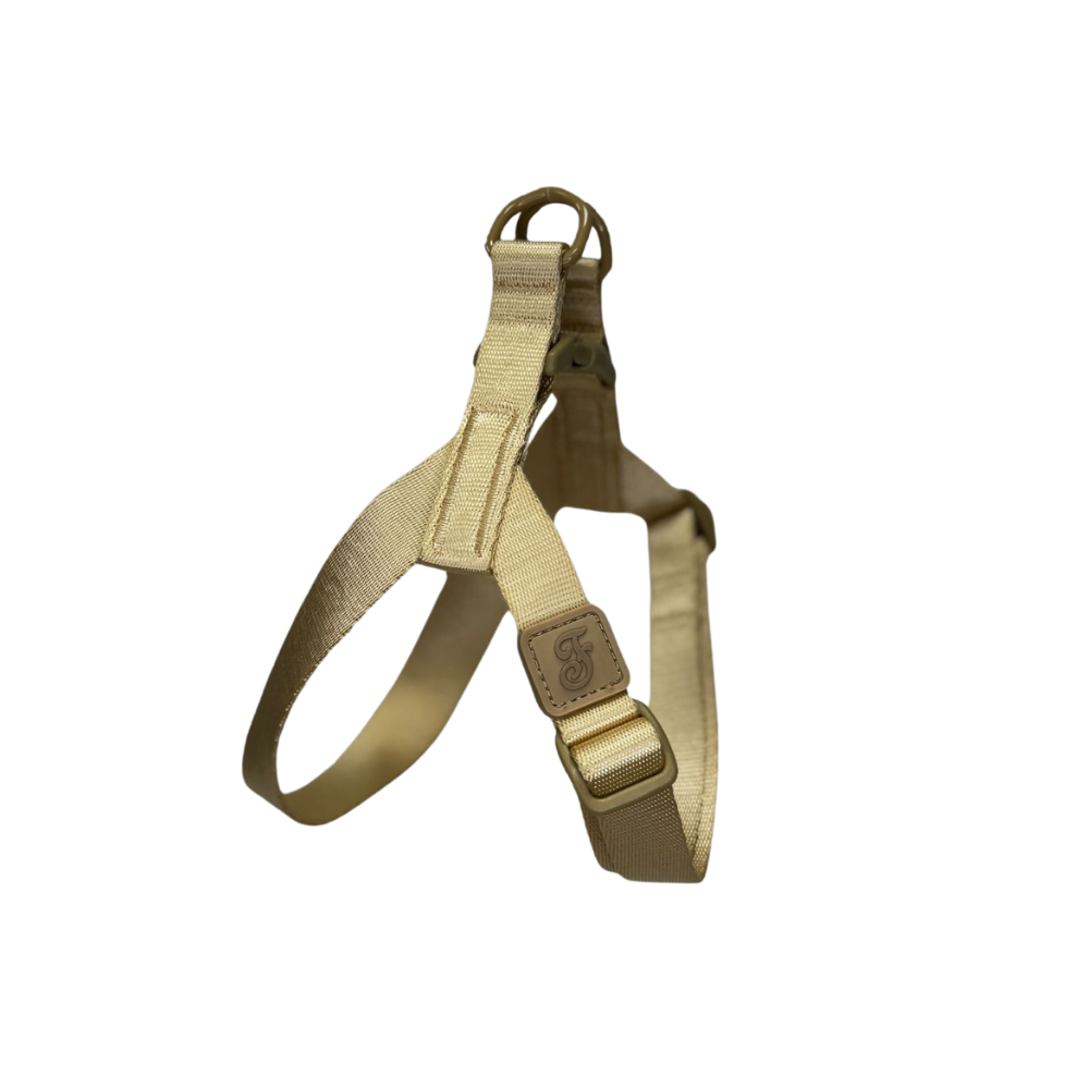 Y-harnas voor jonge honden. Voor wandelcomfort - Ottie's Dog Essentials